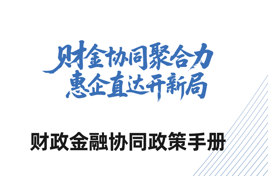 财政金融协同政策手册