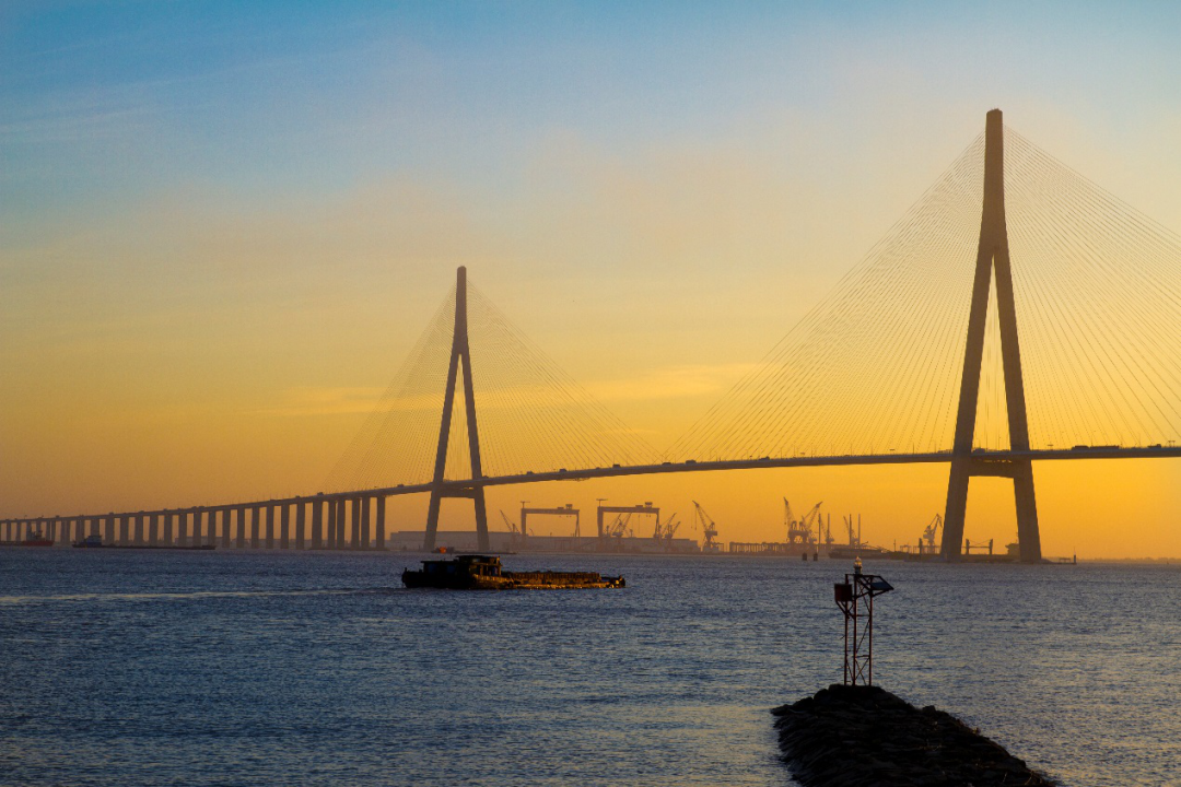 图1  苏通大桥 (徐黎 摄)